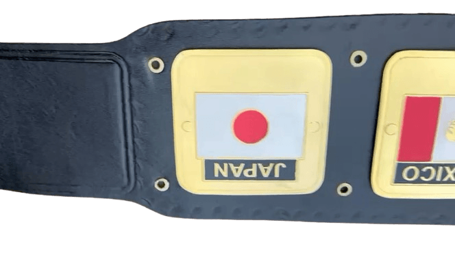 NWA Domed Globe World Wrestling Championship Replica Tittle Belt Championship Belt WWF Belt
