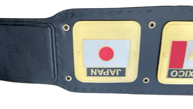 NWA Domed Globe World Wrestling Championship Replica Tittle Belt Championship Belt WWF Belt