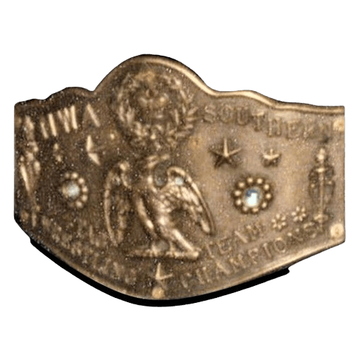 NWA Southern Tag Team Wrestling Championship Title Belt Championship Belt WWF Belt