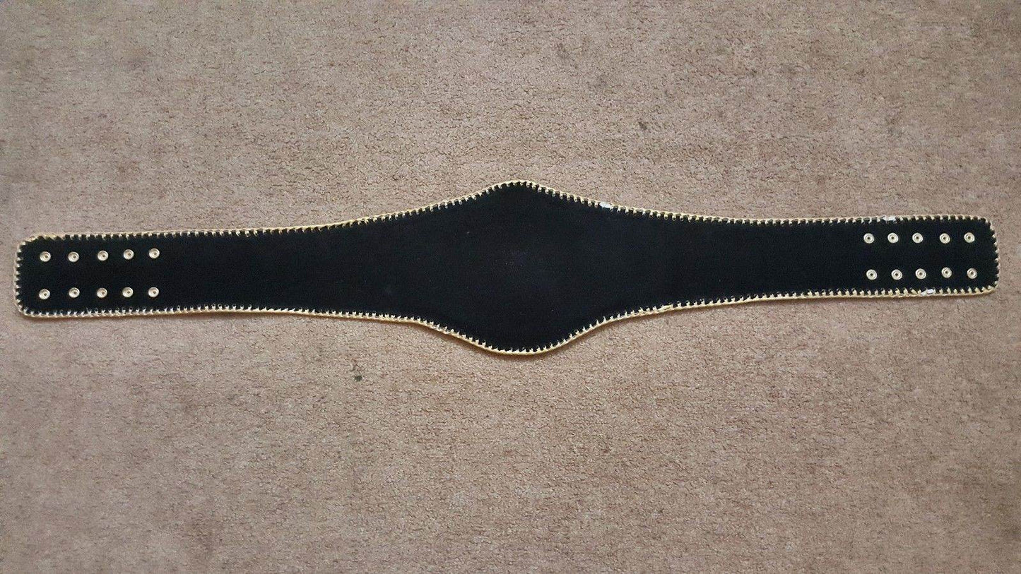 New South West Heavyweight Wrestling Championship Title Belt Championship Belt WWF Belt