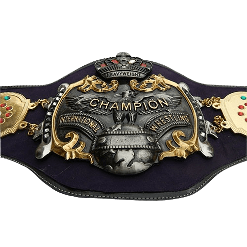Old NWA International Heavyweight Wrestling Champion Belt Championship Belt WWF Belt