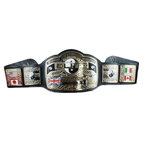 Pro Wrestling Elite Heavyweight Championship Title belt Championship Belt WWF Belt