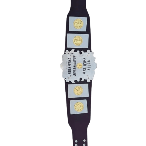 Old North American Heavyweight Champion Belt Championship Belt WWF Belt