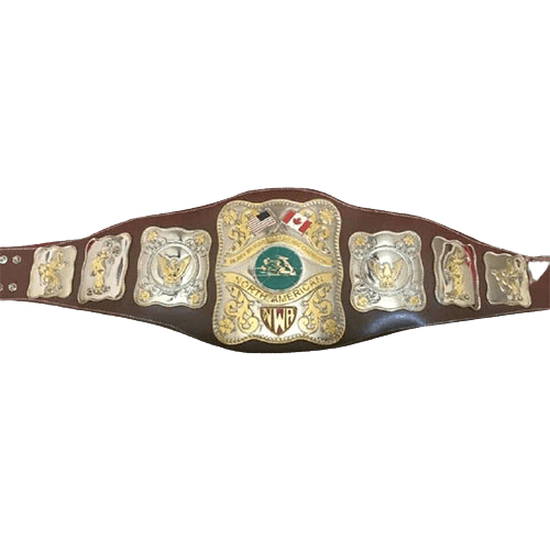 Stampede Wrestling NWA North American Wrestling Champion Belt Championship Belt WWF Belt