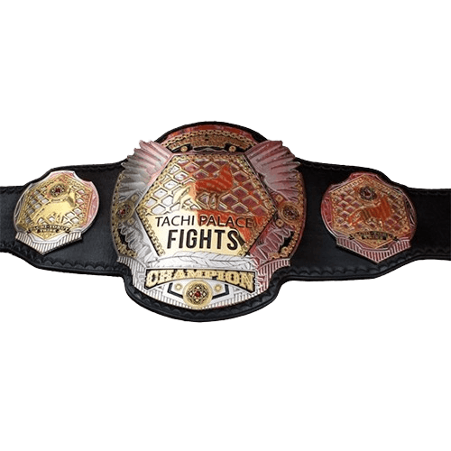 Tachi Palace Fights Championship Belt Championship Belt WWF Belt