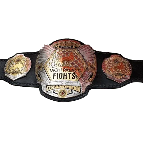 Tachi Palace Fights Championship Belt Championship Belt WWF Belt