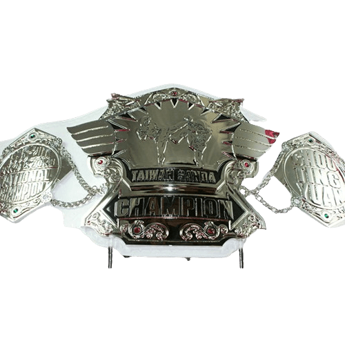 Taiwan Sanda Kickboxing Championship Belt Adult Size Belt Championship Belt WWF Belt