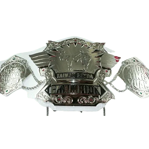 Taiwan Sanda Kickboxing Championship Belt Adult Size Belt Championship Belt WWF Belt