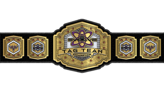 WWE Evolve Tag Team Championship Belt 1