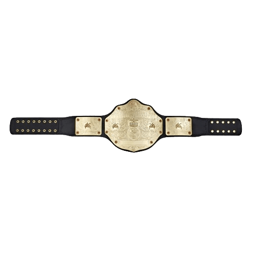 WWE Big Gold World Heavyweight Commemorative Championship Belt Championship Belt WWF Belt