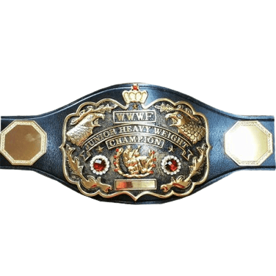 WWWF Junior Heavyweight Champion Belt Tatsumi Fujinami New Japan Pro W