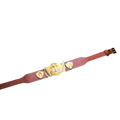 WWWF Nature Boy Buddy Rogers 1963 World Champion Belt Championship Belt WWF Belt