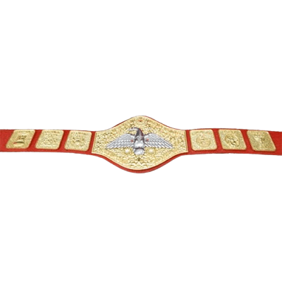 WWWF Pedro Morales Heavyweight Wrestling Champion Belt Championship Belt WWF Belt