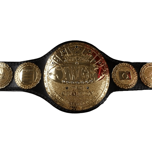 IWGP Yamaguchi Wrestling Grand Prix Tag Team Titles Championship Belt WWF Belt