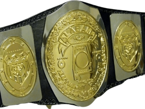 Alabama Heavy Weight Championship Belt Adult Size Championship Belt WWF Belt