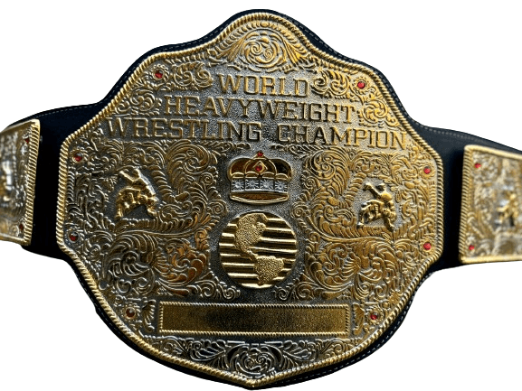 Big Gold Championship Belt Championship Belt WWF Belt