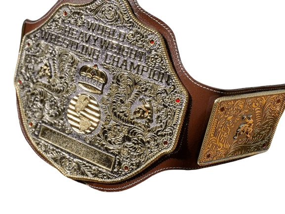 WWE World Heavyweight Big Gold Die Cast Championship Title Belt Championship Belt WWF Belt