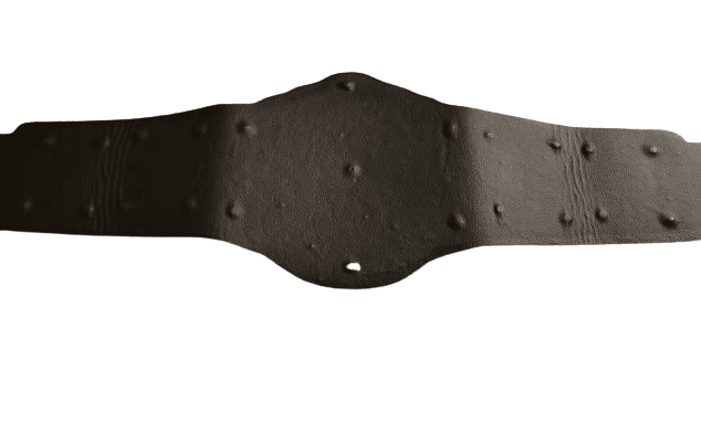 CM Punk Heavyweight Wrestling Championship Belt Adult Size Championship Belt WWF Belt