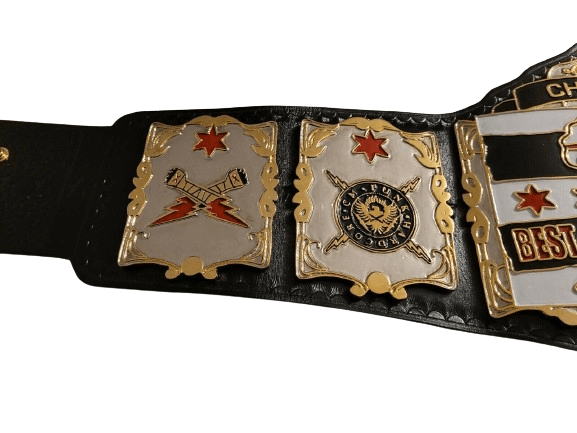 CM Punk Chicago Made Best In The World Championship Belt Championship Belt WWF Belt