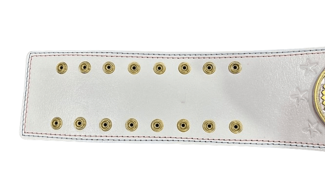 WWE Cody Rhodes American Nightmare Championship Title Belt Championship Belt WWF Belt