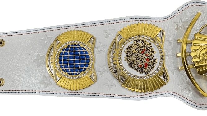 WWE Cody Rhodes American Nightmare Championship Title Belt Championship Belt WWF Belt