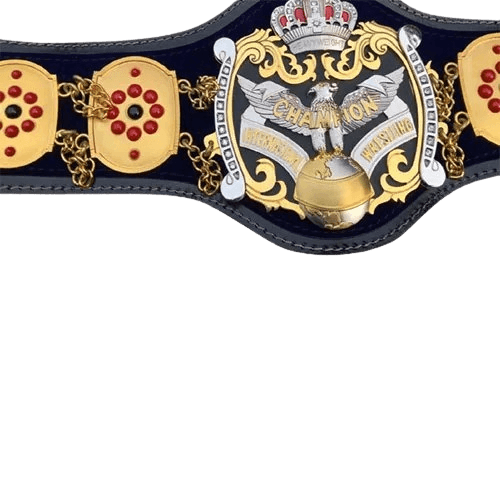 NWA International Heavyweight Wrestling Champion Belt Championship Belt WWF Belt