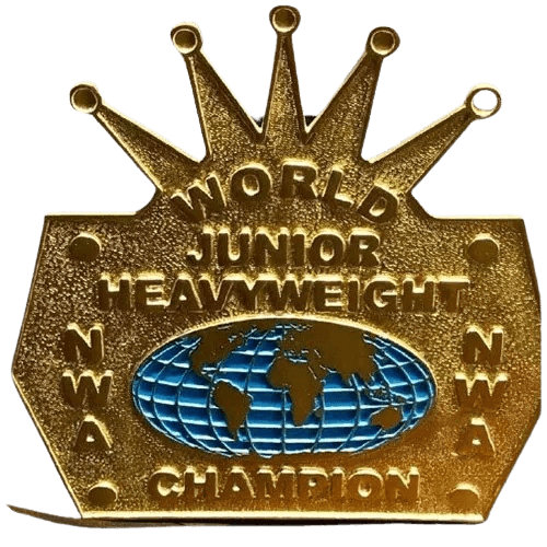 NWA World Junior Jr. Heavyweight Title Champion Belt Championship Belt WWF Belt