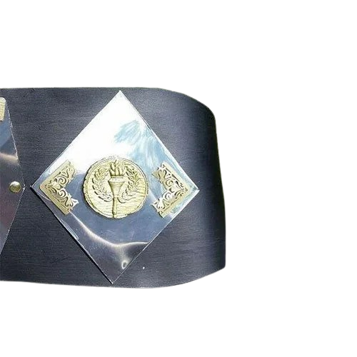 NWA World Tag Team Championship Belt Detroit version Blackjacks Jimmy and Johnny