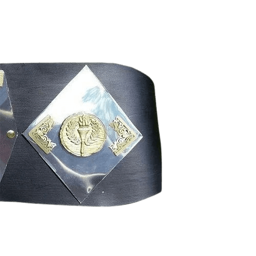 NWA World Tag Team Championship Belt Detroit version Blackjacks Championship Belt WWF Belt