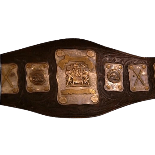 Wakamatsu Mike Shaw Stampede Wrestling International Tag Team Belt Championship Belt WWF Belt