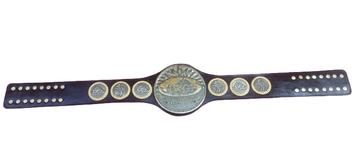 IWGP International Wrestling Grand Prix Junior Jr. Champion Belt Championship Belt WWF Belt