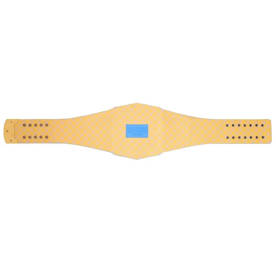 Los Angeles Chargers WWE Legacy Title Belt Championship Belt WWF Belt