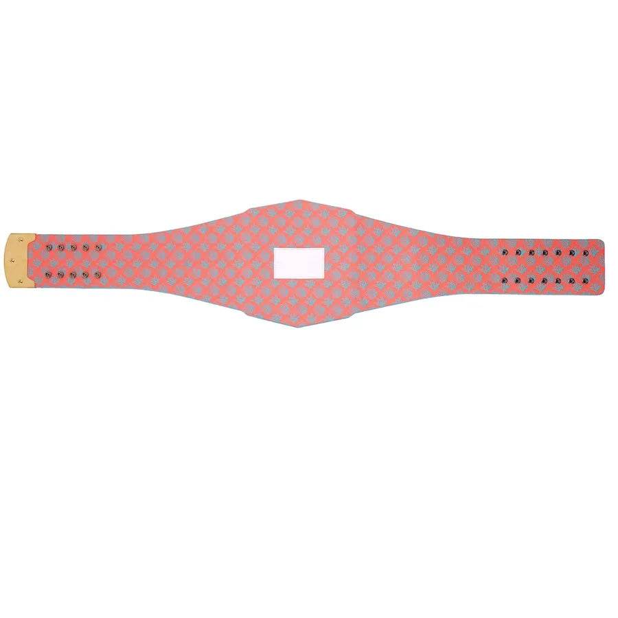 Miami Dolphins WWE Legacy Title Belt Championship Belt WWF Belt