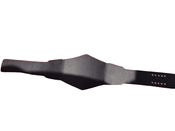 WWE NXT Tag Team Championship Title Belt Replica Championship Belt WWF Belt