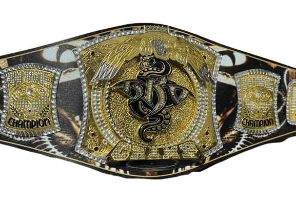 WWE NXT Randy Orton Spinner Championship Title Belt Replica Championship Belt WWF Belt