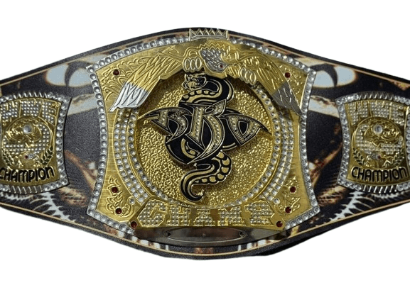 WWE NXT Randy Orton Spinner Championship Title Belt Replica Championship Belt WWF Belt