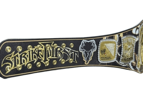 WWE NXT Randy Orton Spinner Championship Title Belt Replica Championship Belt WWF Belt