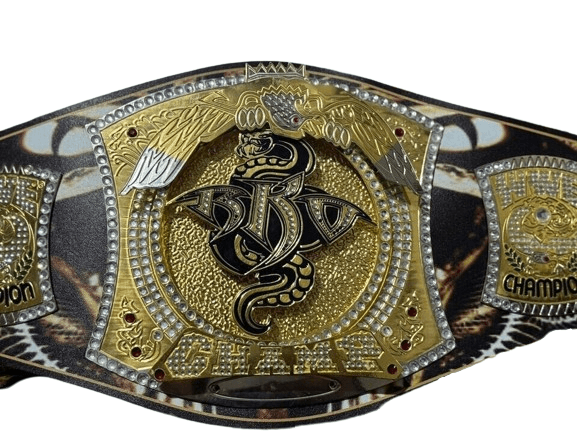 WWE NXT Randy Orton Spinner Championship Title Belt Replica Championship Belt WWF Belt