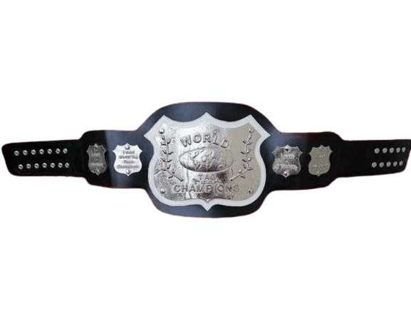 NWA World Tag Team Championship Replica Title Belt Championship Belt WWF Belt