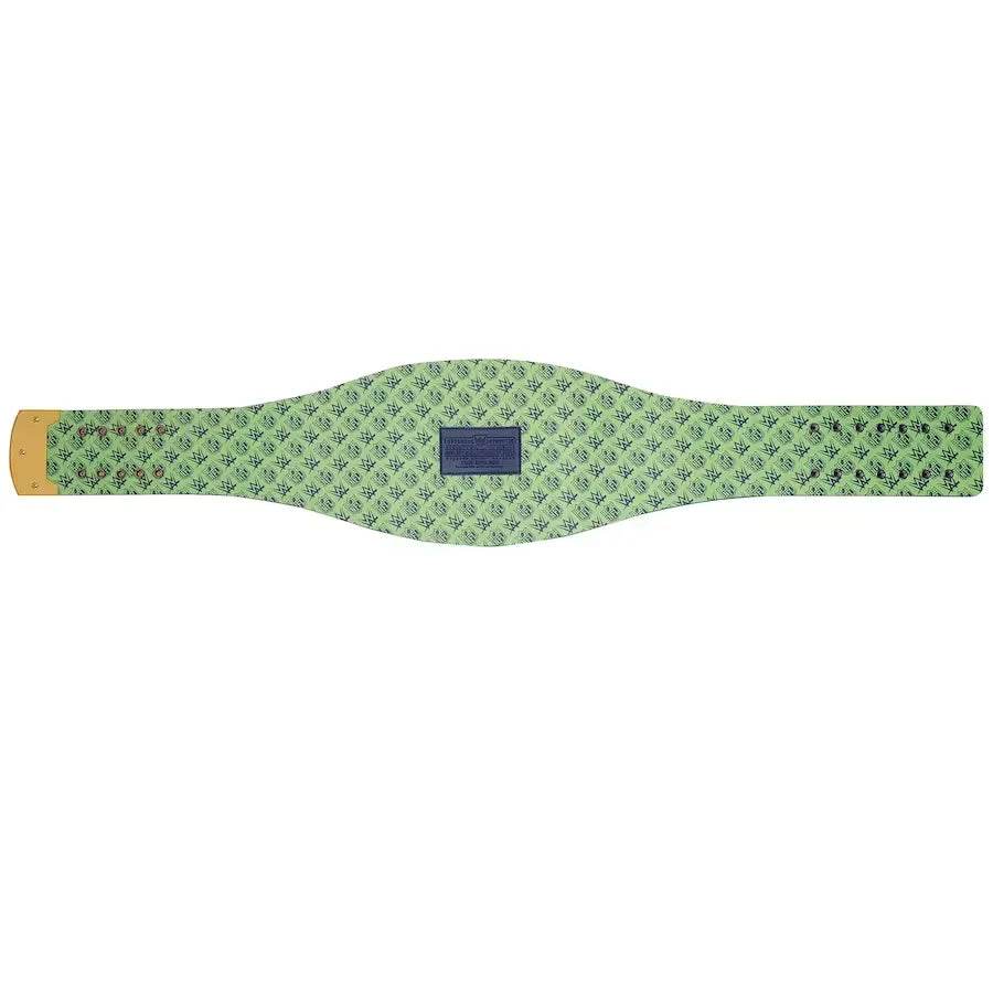 Seattle Seahawks WWE Legacy Title Belt Championship Belt WWF Belt