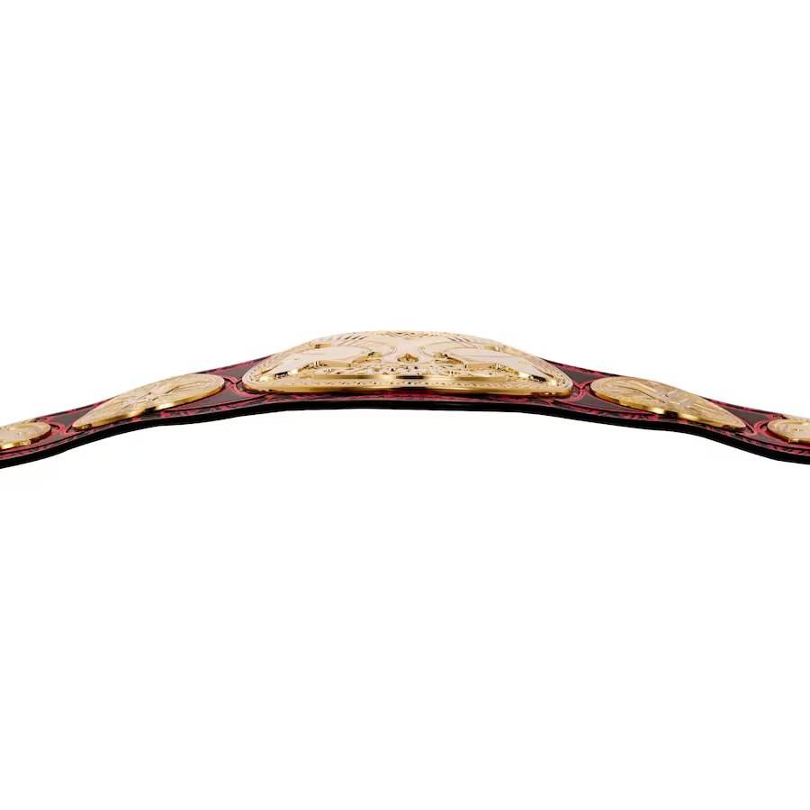 The Usos 622-Day Longest Reigning Tag Team Title Belt Championship Belt WWF Belt