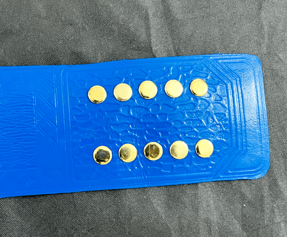 Jeff Hardy TNA Heavyweight Wrestling Championship Title Belt Championship Belt WWF Belt