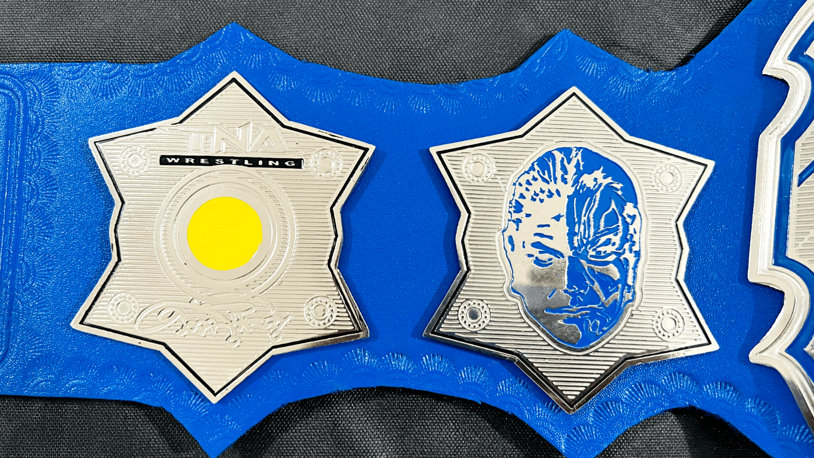 Jeff Hardy TNA Heavyweight Wrestling Championship Title Belt Championship Belt WWF Belt