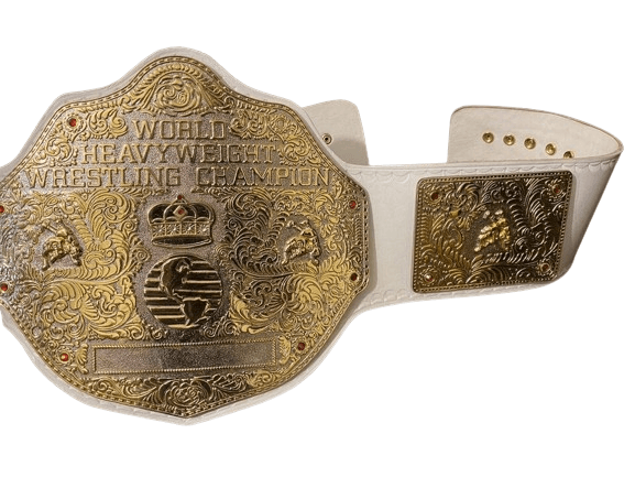WWE Big Gold Die Casted Heavyweight Wrestling Championship Belt Championship Belt WWF Belt