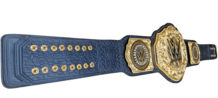 WWE New Heavyweight Die Cast Wrestling Championship Belt Replica Championship Belt WWF Belt