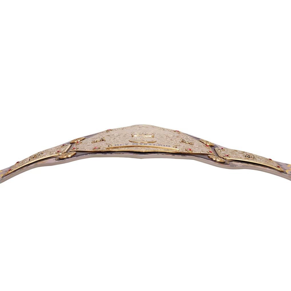 WWE Rey Mysterio 619 San Diego Signature Series Title BeltChampionship BeltWWF Belt