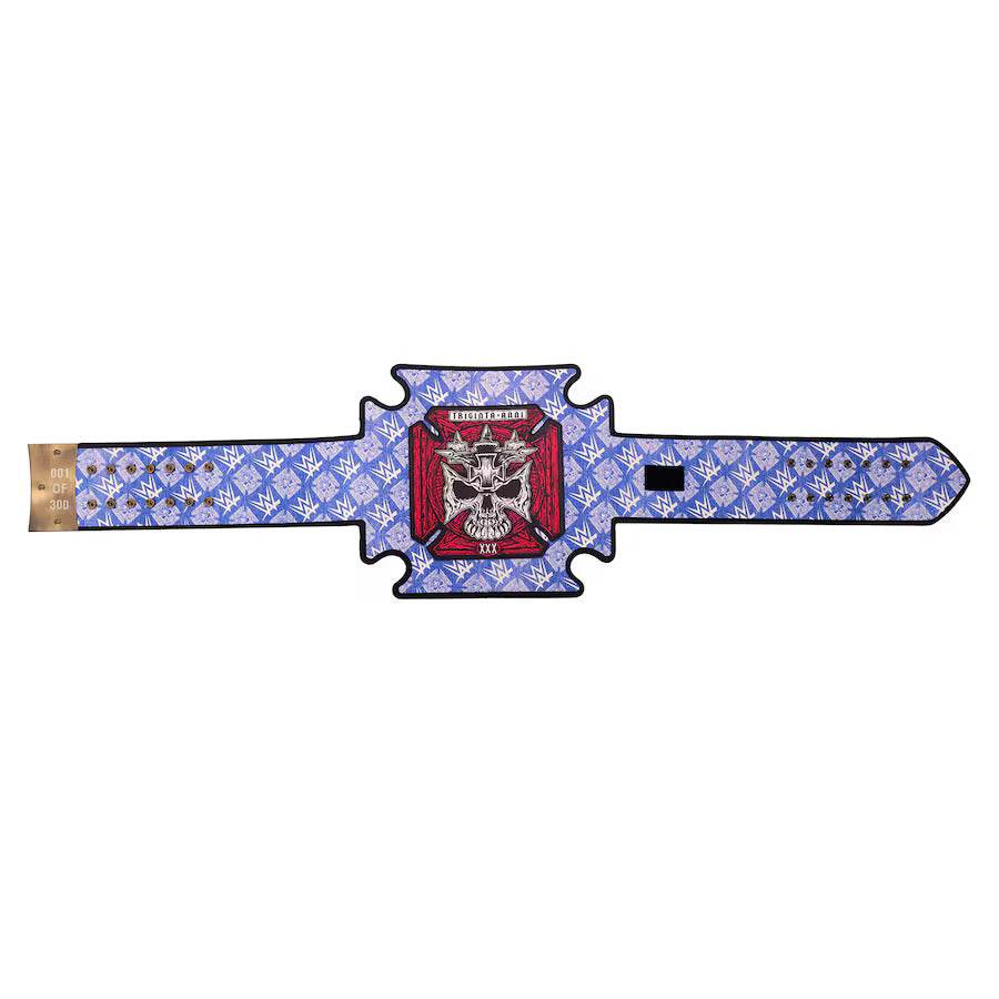 WWE Triple H 30 Years Evolution Heavyweight Championship Belt Championship Belt WWF Belt