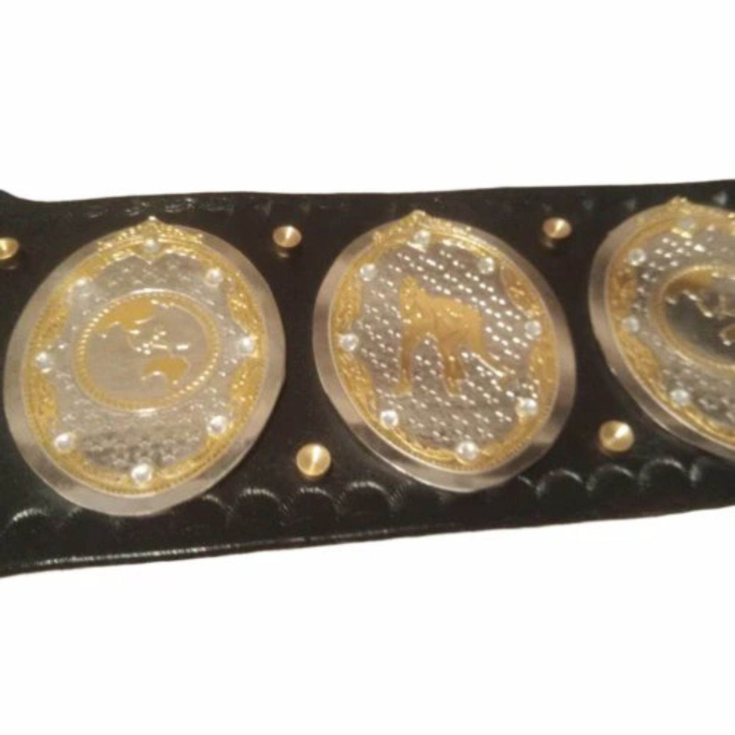 AEW Women's World Championship Replica Title Belt Championship Belt WWF Belt