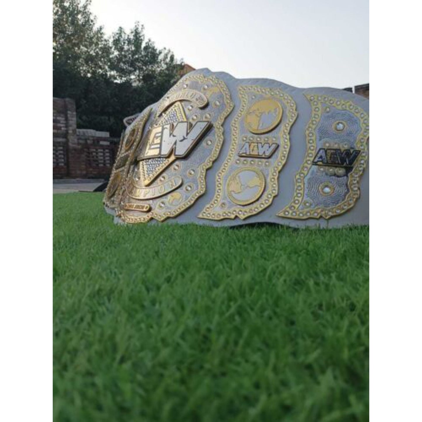 AEW World Wrestling Championship Replica Title Belt wrestling Belt WWF Belt