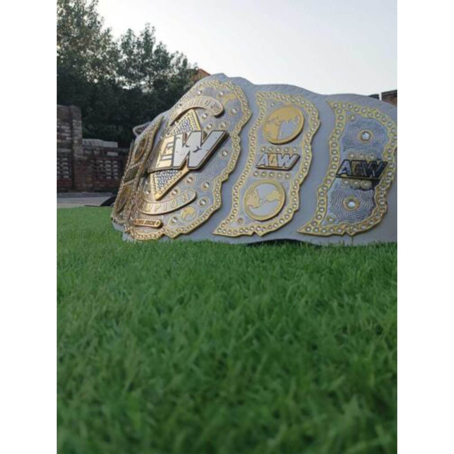 AEW World Wrestling Championship Replica Title Belt Championship Belt WWF Belt
